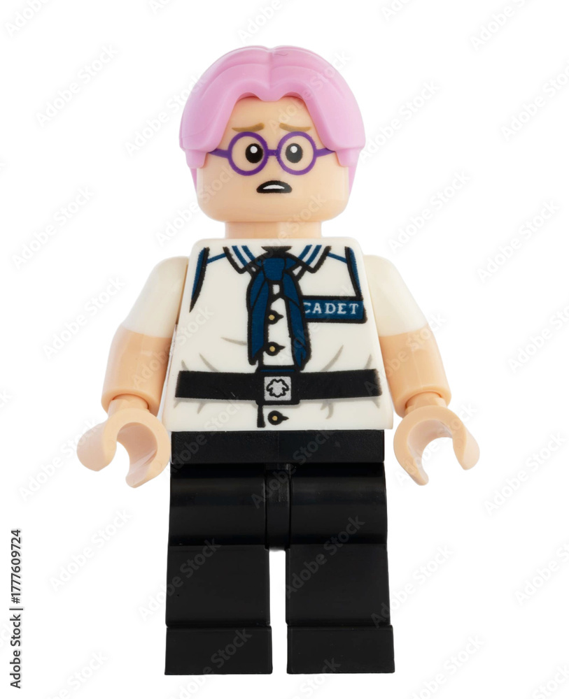 Obraz premium Dortmund - Deutschland 4. November 2025 - Lego Figur Corby der Serie One Piece - Studio Aufnahme