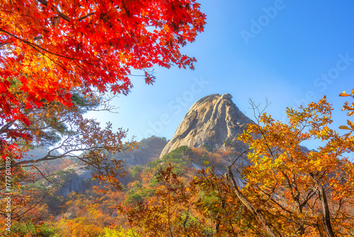 Autumn scenery and changing leaves at Bukhansan Mountain in Seoul, South Korea.
Hiking in a Korean national park: Bukhansan National Park, Seoul, South Korea.