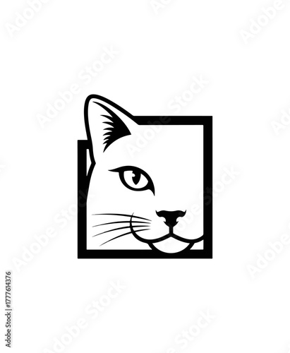 Cat face vector illustration against black background