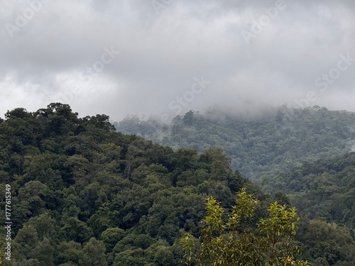 Beautiful Morning Misty Valley Nature Landscape at Sunrise