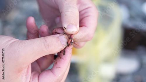 Man Fishing Preparation – Close-Up of Hands Putting Worm on Hook Outdoors