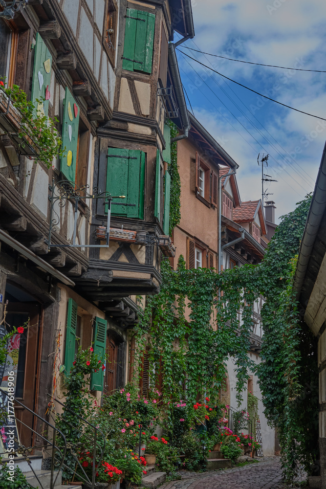 Fototapeta premium Petit village alsacien