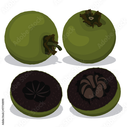 chocolate pudding fruit, black sapote.