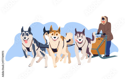 Musher and dog sled team, driver and Siberian husky group sledding on snow. Animals in harness pull sleigh with man in race or fast active competition, winter adventure cartoon vector illustration