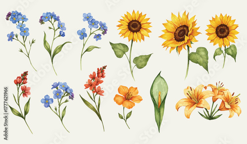 Beautiful watercolor illustrations of various blooming flowers including sunflowers, lilies, forget-me-nots, and gladiolus, perfect for decorative designs and artistic creations.
