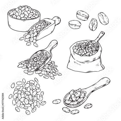 Set of isolated hand drawn pile of oat flakes outline drawing illustration