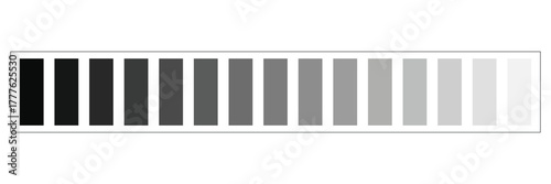 Grayscale colors on black and white. Monochrome palette .Vector illustration EPS 10 .