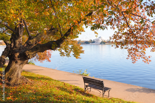 Jefferson Memorial in winter - Washington DC United States