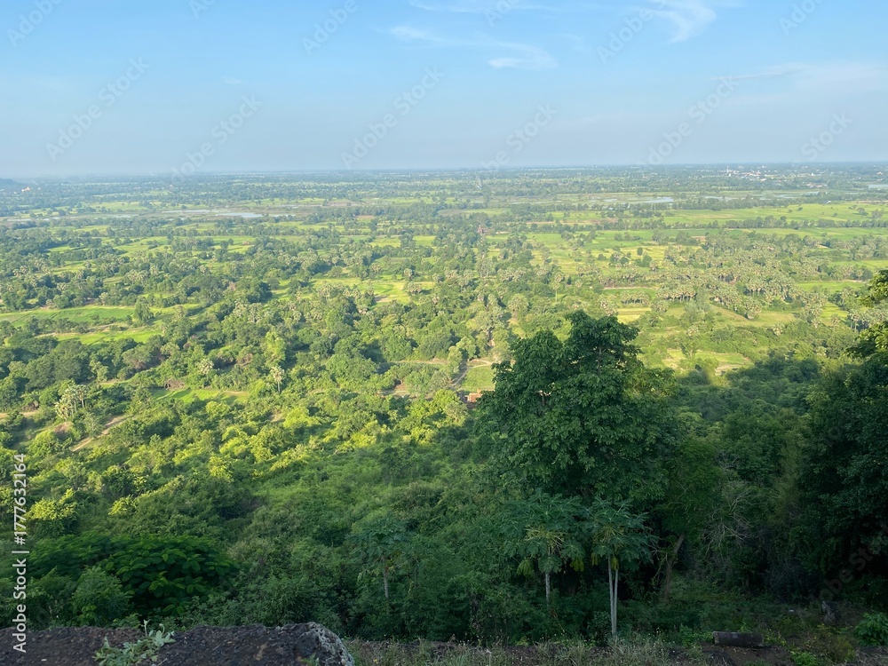 Obraz premium landscape with trees