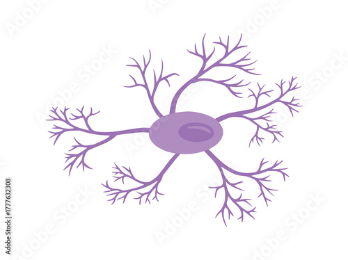 hand drawn microglia glial cell