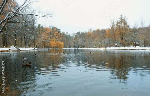Beautiful autumnal landscape. Lake with ducks, fallen leaves and trees covered first snow in park. Fall nature image. cold weather. late fall or early winter season. melancholy atmosphere