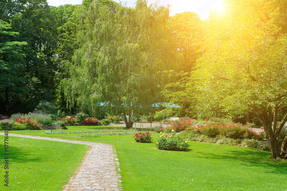 Fototapeta premium Winding Stone Path Through a Sunny Lush Garden Park