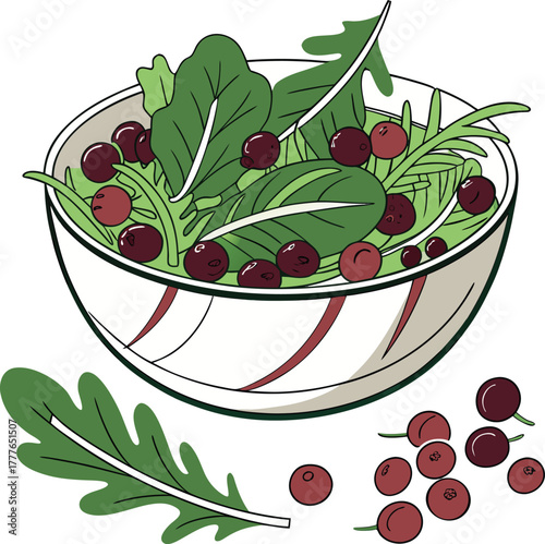 Illustration of a salad with arugula, spinach and cranberries