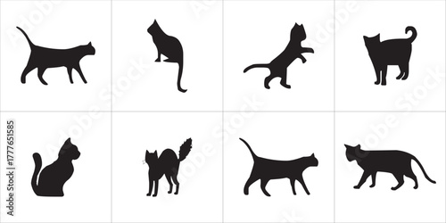 Digital asset 'vector file' text representation for graphic design