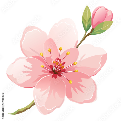 Delicate soft watercolor style illustration of blooming cherry blossom branches with a subtle silhouette effect perfect for spring and floral designs