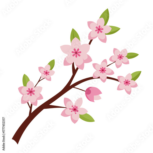 Elegant silhouette of a delicate pink cherry blossom branch adorned with multiple blooming flowers perfect for spring and floral designs