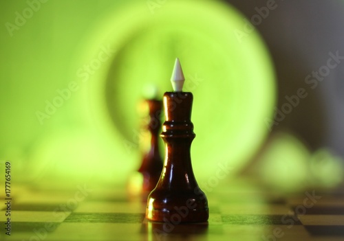 chess pieces king and queen on the chess board