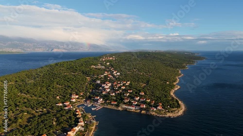 Wallpaper Mural Cinematic Aerial View of Lun, Pag Island, Croatia – Peaceful Adriatic Coastline, Wild Nature, Olive Forests and Turquoise Sea Torontodigital.ca
