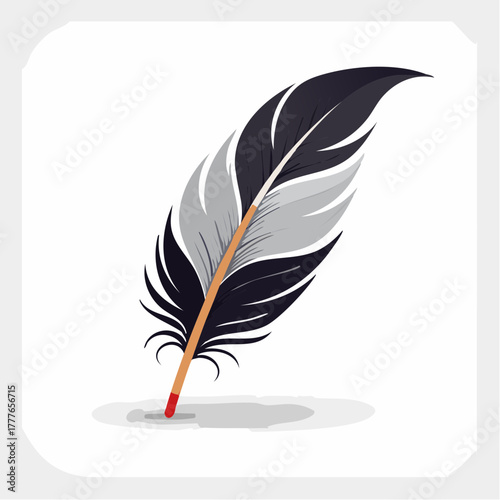 Jolie plume d'oiseau noire et grise, isolé sur fond clair