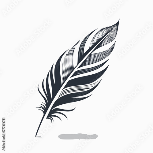 Jolie plume d'oiseau noire et grise, isolé sur fond clair