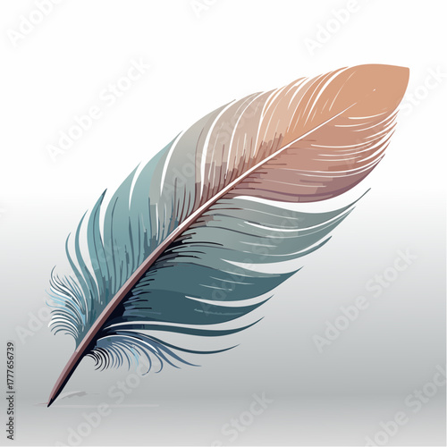 Une jolie plume d'oiseau, colorée, isolée sur fond clair