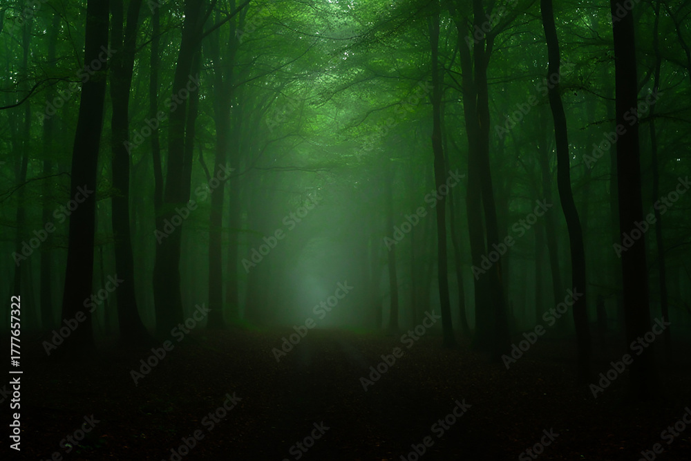 Fototapeta premium Mysterious path through dense green forest with light rays