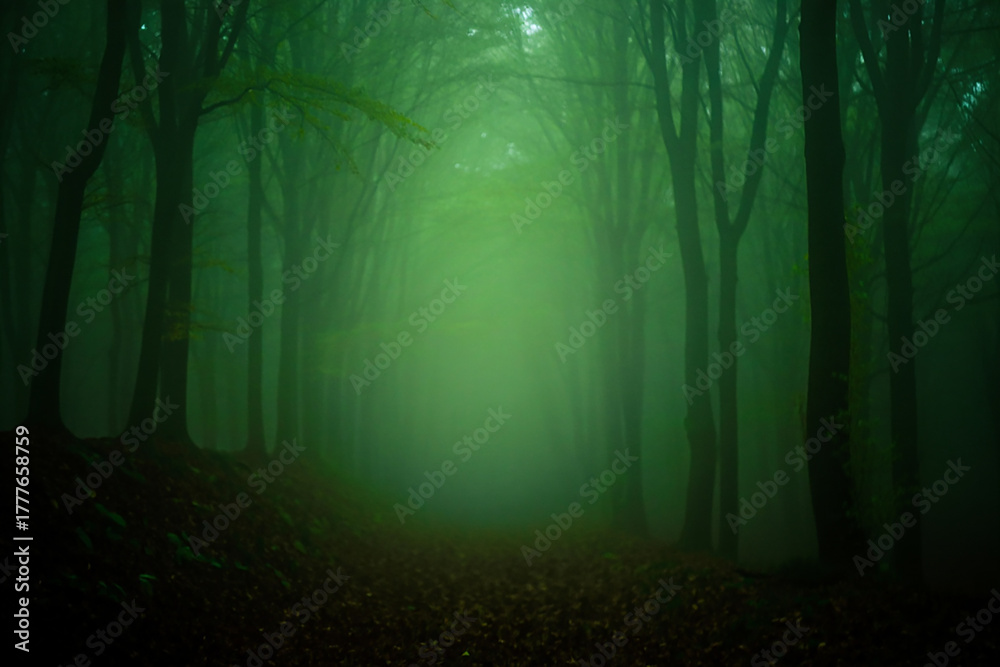 Naklejka premium Mysterious green light illuminates a dark foggy forest path