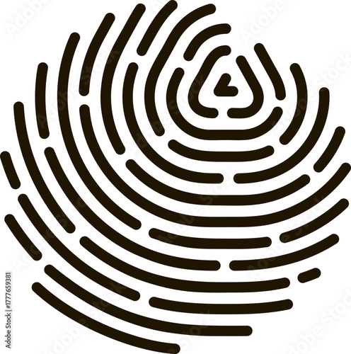 Fingerprint labyrinth illustrating digital identity and security