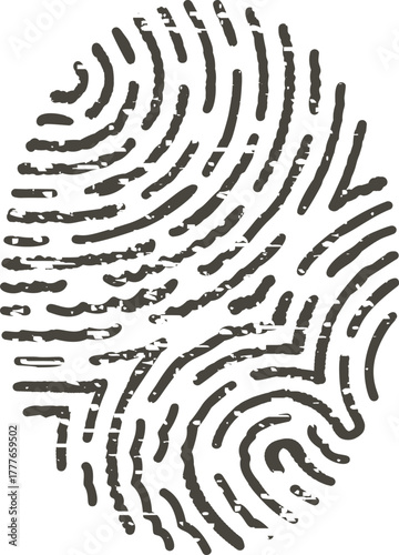 Distressed fingerprint pattern representing identity and security concept
