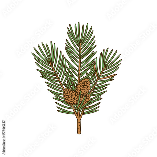 pine cone with leaves