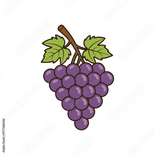 Fotografie bunch of grapes
