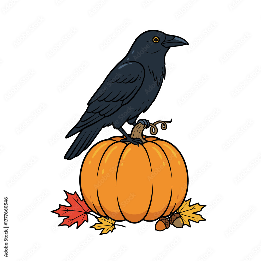 Fototapeta premium Crow on Pumpkin