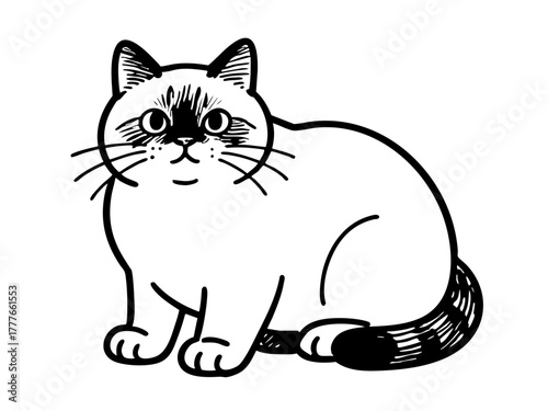 Simple line art illustration of an American Shorthair cat, minimal pet outline on white background