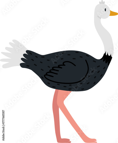 Ostrich standing on long legs, flat cartoon style drawing