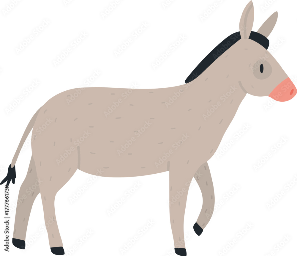 Fototapeta premium Donkey walking on a white isolated background