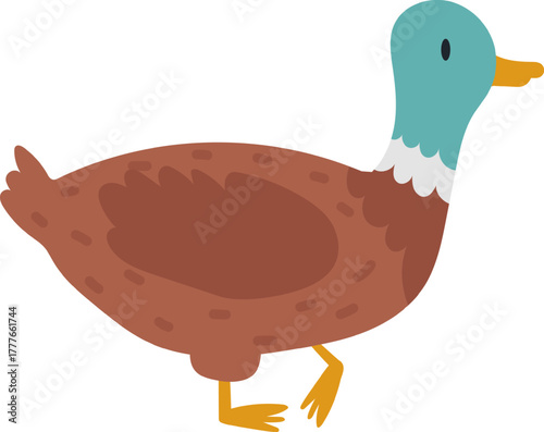 Cartoon duck walking isolated vector illustration