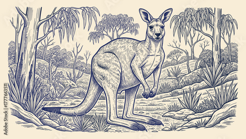 Hand drawn illustration of the majestic Kangaroo Standing Proudly in the Heart of the Australian Outback Among Eucalyptus Trees and Bushland Scenery