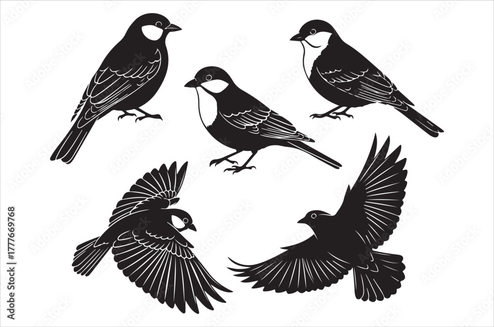 Obraz premium Several black silhouettes of birds in various flight and perched positions