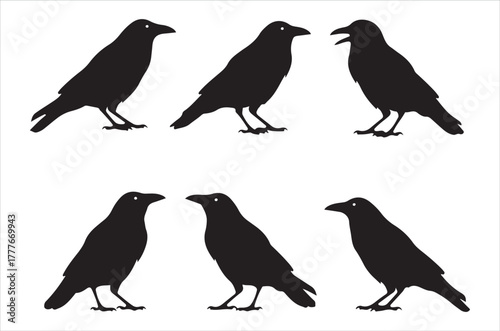 Silhouettes of six black ravens in various postures and positions