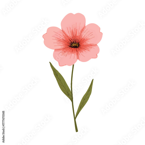 Watercolor vector of bellflower, isolated on a white background. Bellflower illustration.