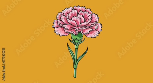 Pink carnation illustration on an orange background