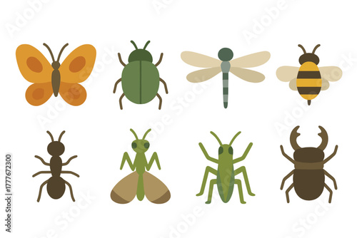 Colorful collection of insects featuring butterflies, bees, and beetles in a simple design