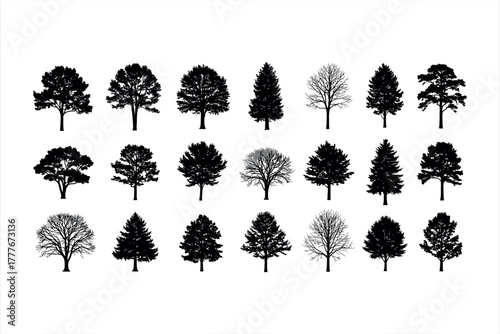 Set of various tree silhouettes