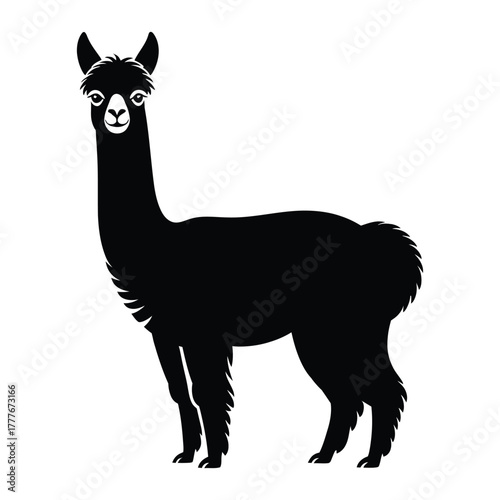 Standing alpaca side view Silhouette, Vector, Illustration