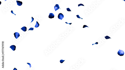 Blue Rose Petals Falling in Light — Transparent Background 
