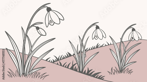 Elegant snowdrops gracefully emerge from the earth, their delicate petals unfurling to greet the arrival of spring in a serene monochrome landscape