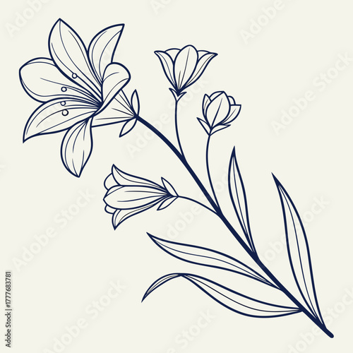 Elegant floral illustration featuring a large lily with buds and leaves on a light background design element