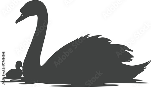 Black swan silhouette, baby swan on water, elegant bird illustration, nature love concept, minimalist wildlife vector, parental care design