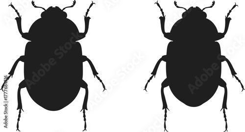 Beetle silhouette illustration, insect vector design, black bug shapes, entomology clipart, symmetrical beetle anatomy, pest control graphic element