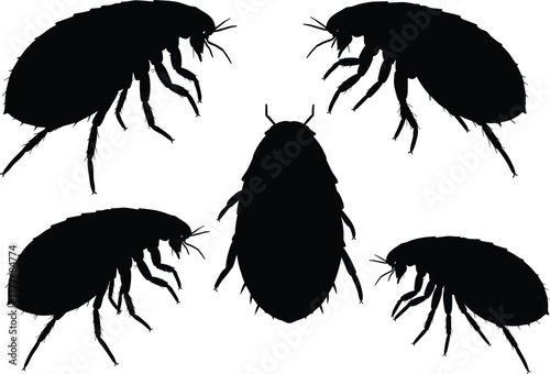 Flea silhouette illustration, insect vector design, pest control concept, black flea shapes, entomology clipart, detailed bug anatomy graphic